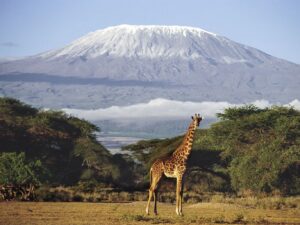 Tanzania, Muntele Kilimanjaro
